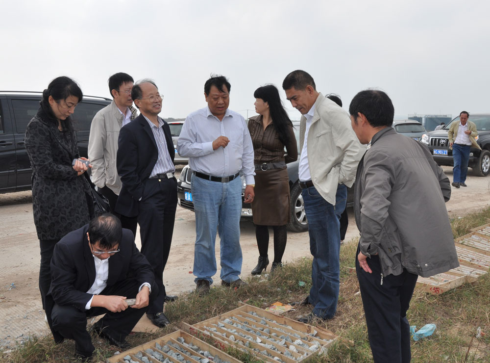 项副厅长、战院长等在五河某金矿钻探工地考察